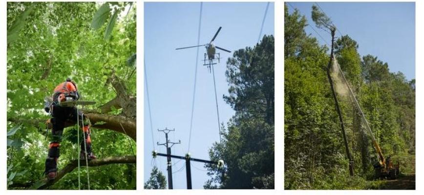Campagne d'élagage - Réseau électrique haute tension