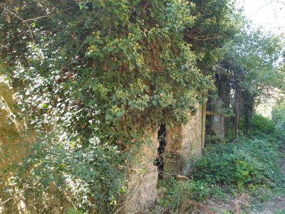 Lieu-dit La Foriet